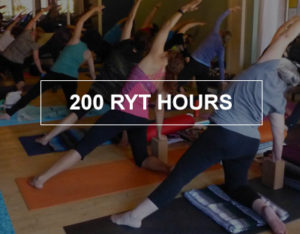200 yoga teacher training