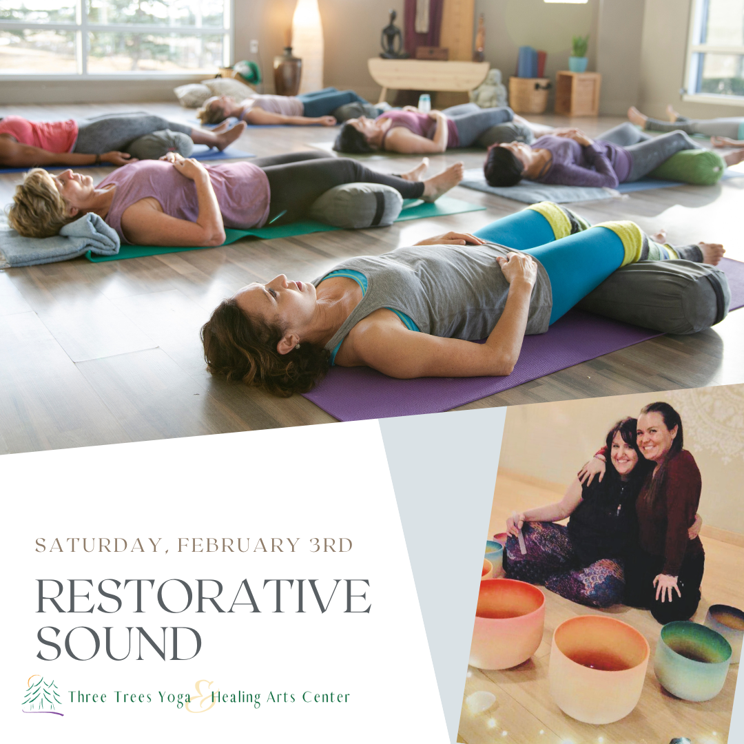 Friends of Meditation Restorative Yoga Kit (Setubandh Bench and Viprit –  Meditate & Celebrate Inc.