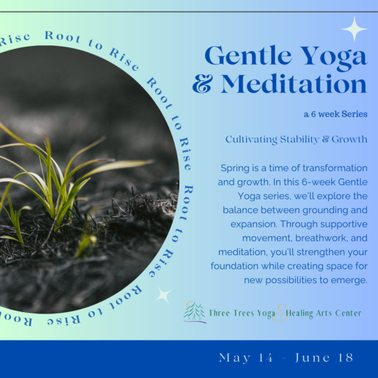 Gentle Yoga Series