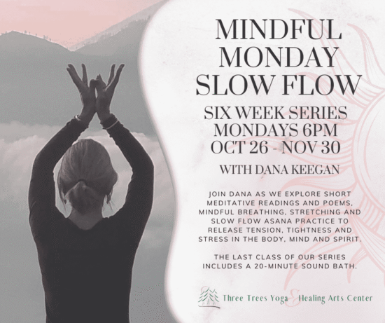 Dana’s Mindful Monday Slow Flow -2
